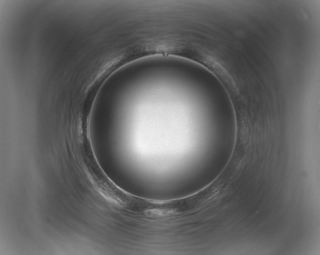 X0000081610251200701151413