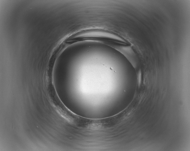 X0000081610252200701151413