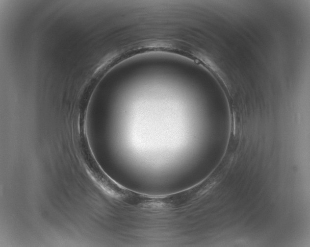 X0000081610253200701151413