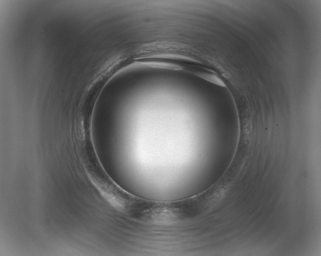 X0000081610254200701151413