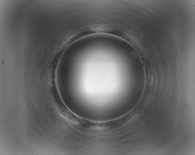 X0000081610255200701151413