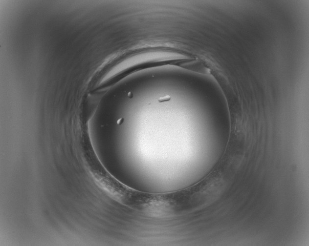 X0000081610256200701151413