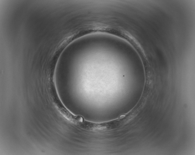 X0000081610257200701151413