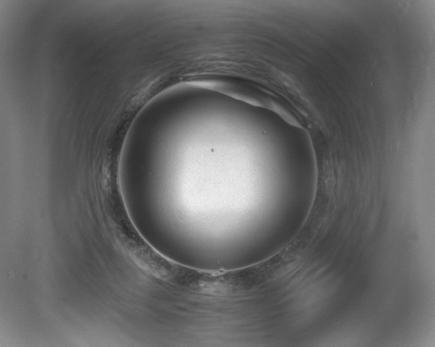 X0000081610259200701151413