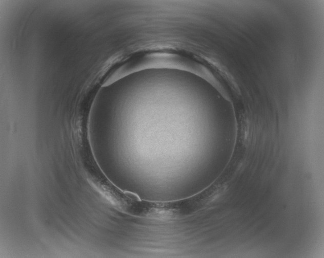 X0000081610260200701151413