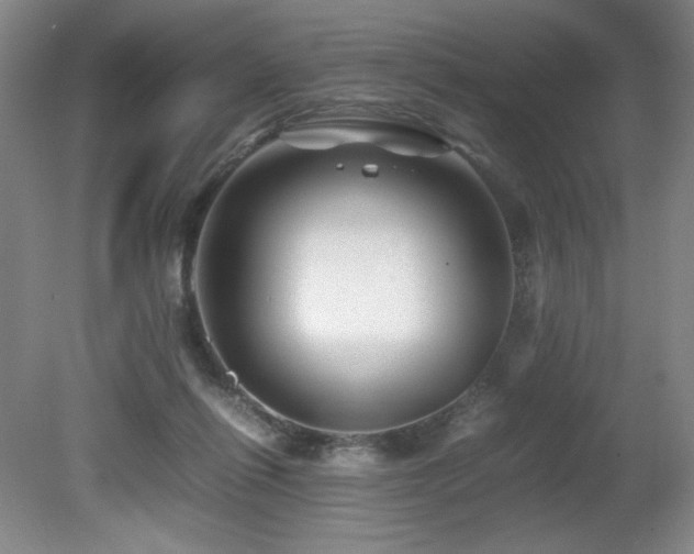 X0000081610262200701151413