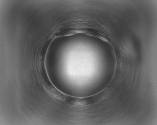 X0000081610263200701151413