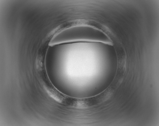 X0000081610264200701151413