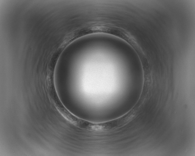 X0000081610265200701151413