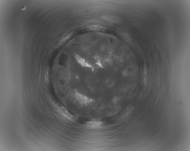 X0000081610266200701151413