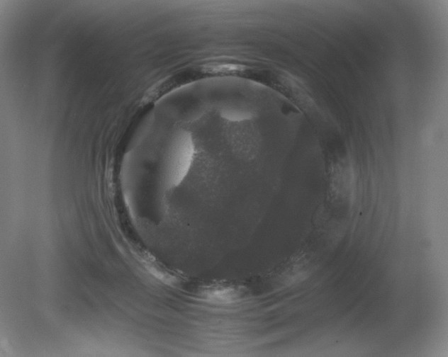 X0000081610267200701151413