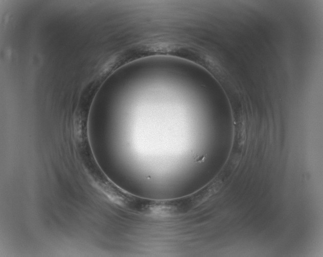 X0000081610268200701151413