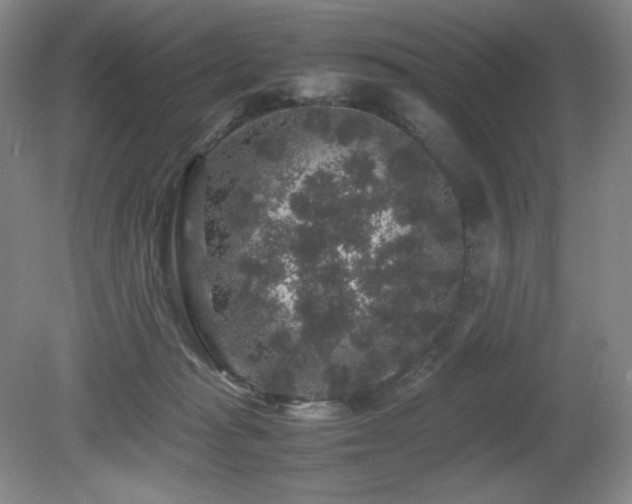 X0000081610269200701151413