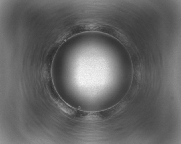 X0000081610270200701151413