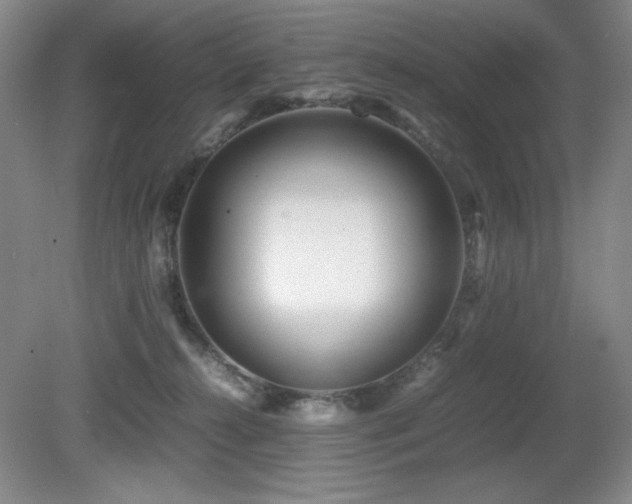 X0000081610272200701151413