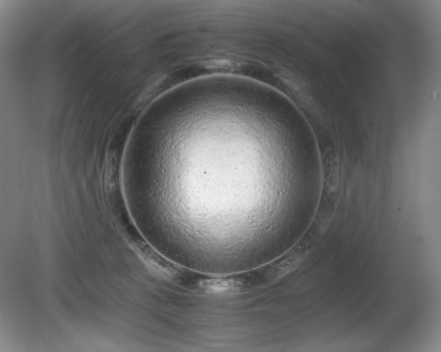 X0000081610273200701151413