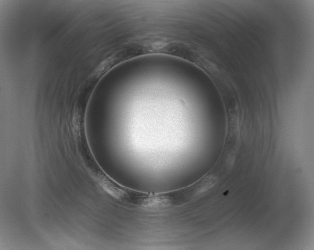 X0000081610274200701151413