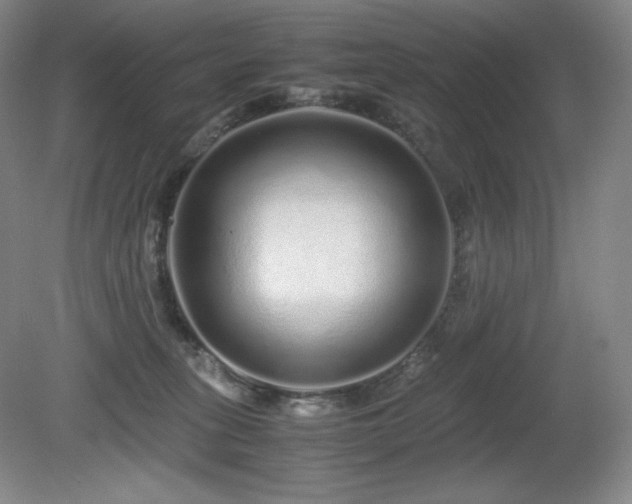 X0000081610275200701151413