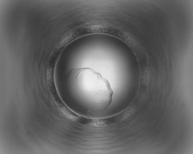 X0000081610278200701151413