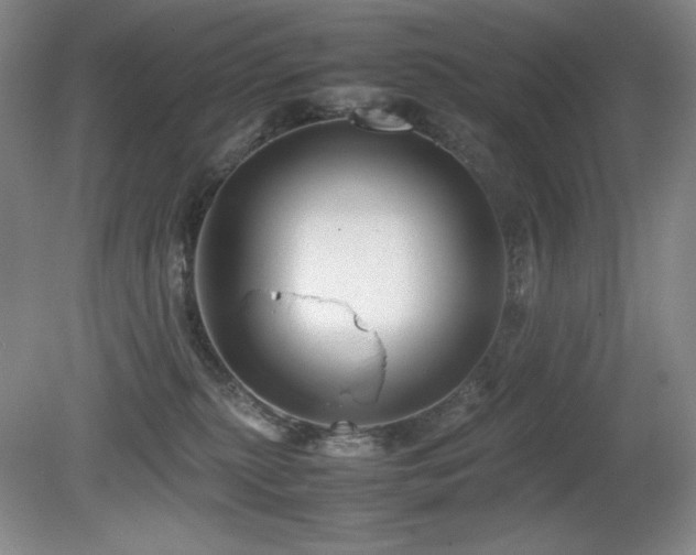 X0000081610279200701151413