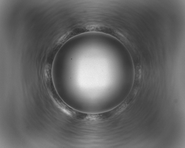 X0000081610280200701151413