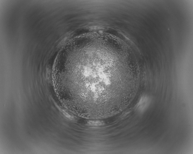 X0000081610281200701151413