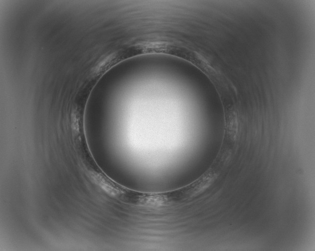 X0000081610282200701151413