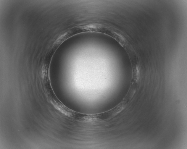 X0000081610284200701151413