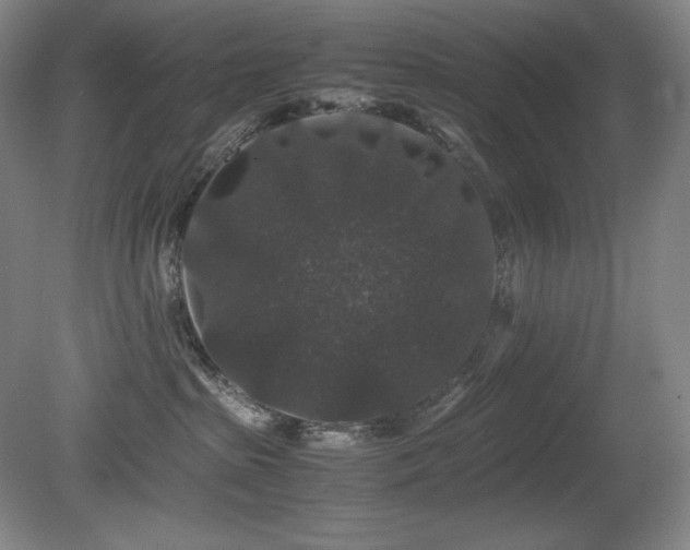 X0000081610285200701151413