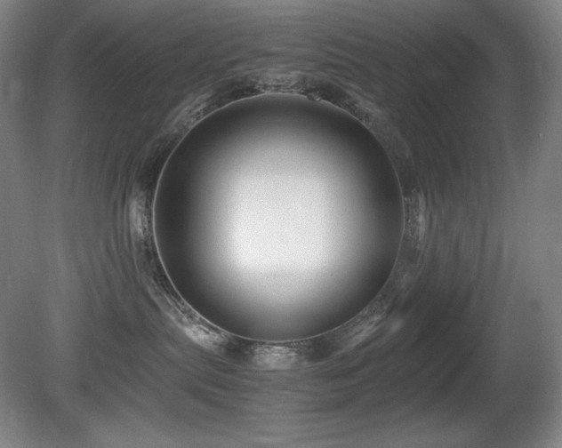 X0000081610287200701151413