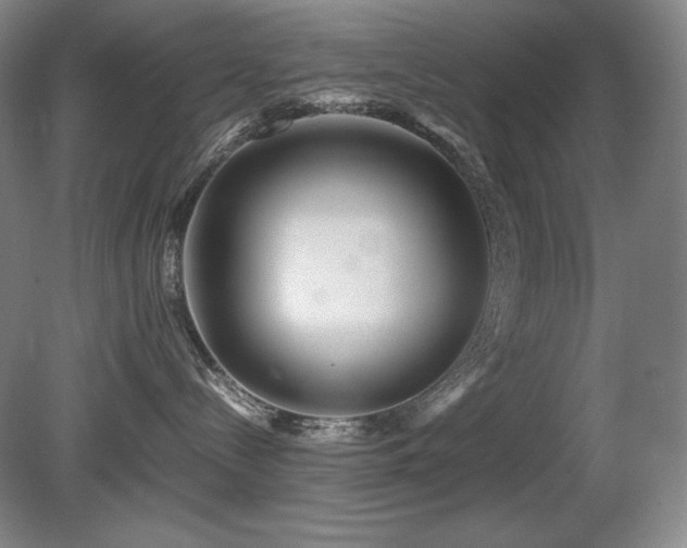 X0000081610288200701151413