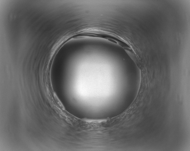 X0000081610289200701151412