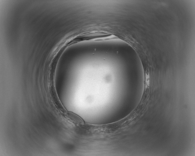 X0000081610291200701151412