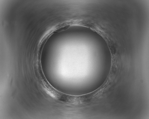 X0000081610293200701151412