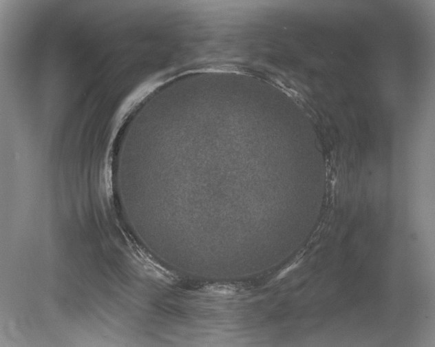 X0000081610294200701151412