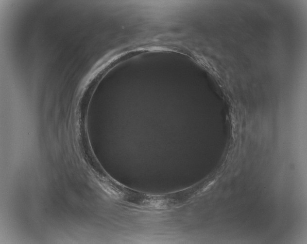 X0000081610295200701151412