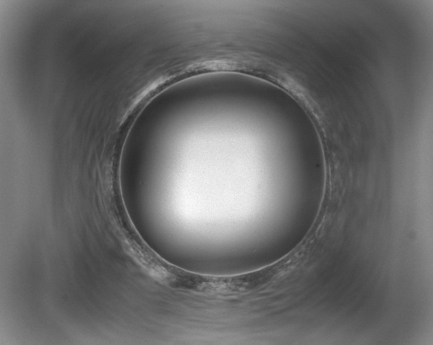 X0000081610297200701151412