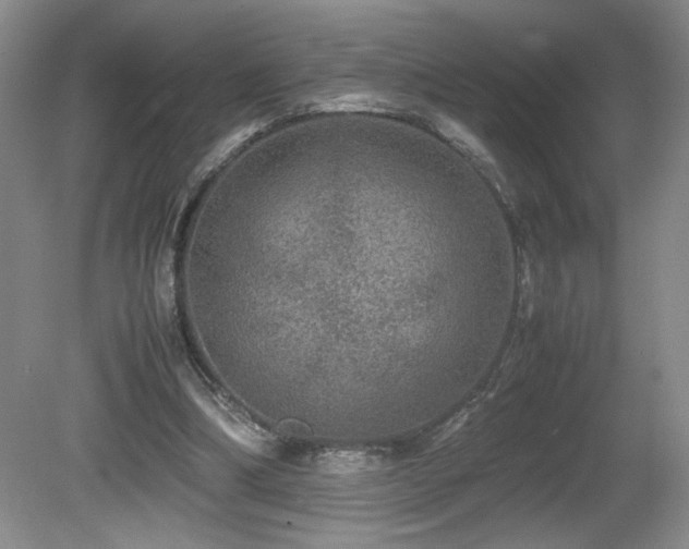 X0000081610298200701151412