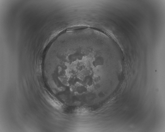 X0000081610299200701151412