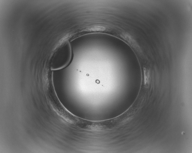 X0000081610300200701151412