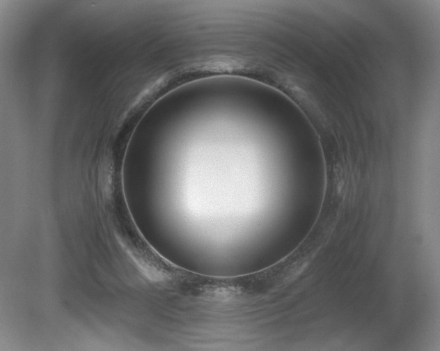 X0000081610304200701151412