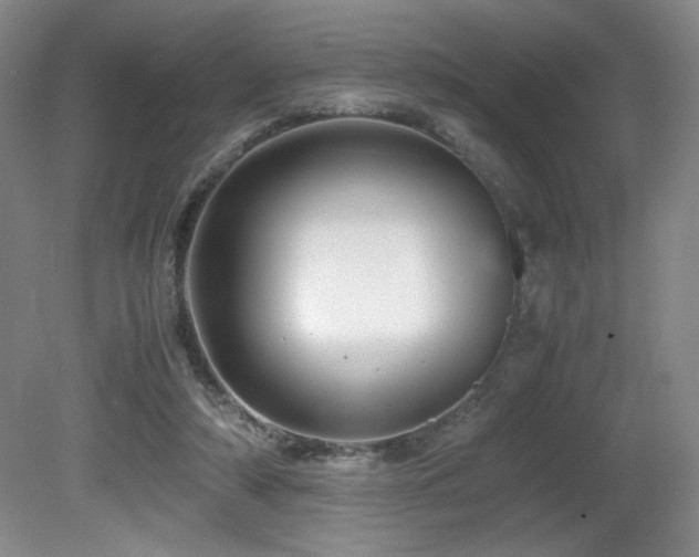 X0000081610306200701151412