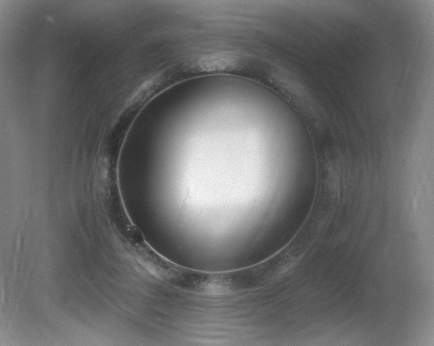 X0000081610308200701151412