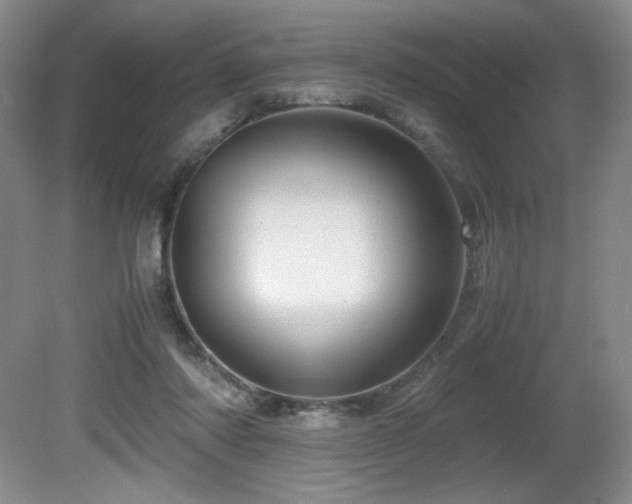 X0000081610310200701151412