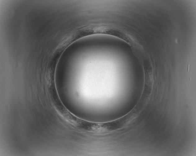 X0000081610311200701151412