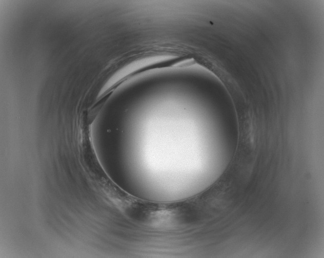 X0000081610312200701151412