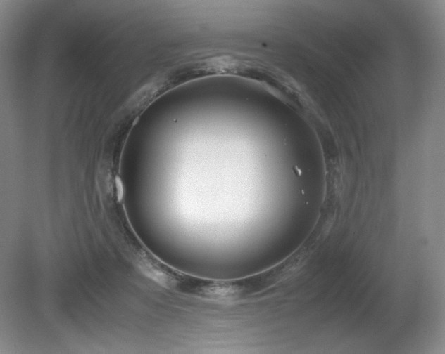 X0000081610313200701151412