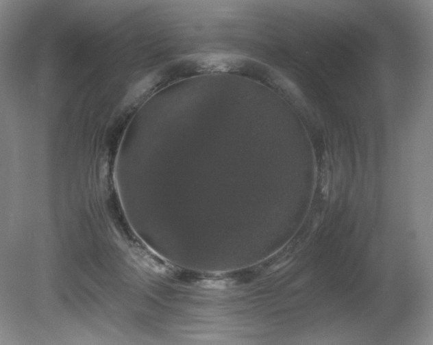 X0000081610314200701151412