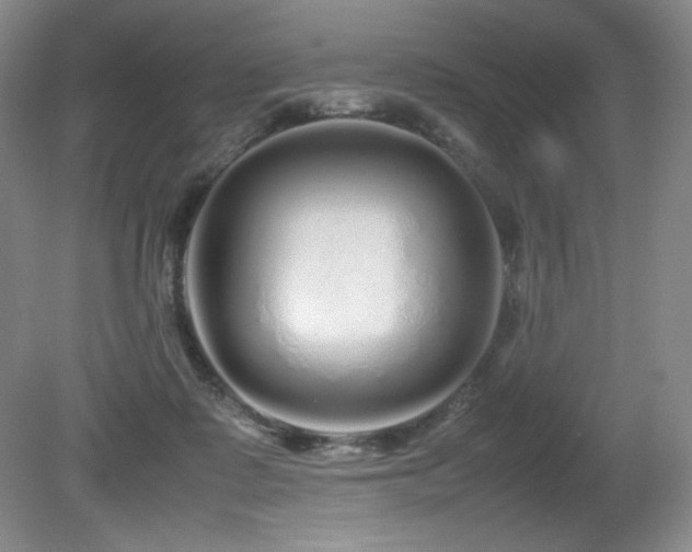 X0000081610315200701151412