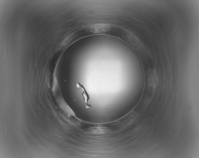 X0000081610316200701151412